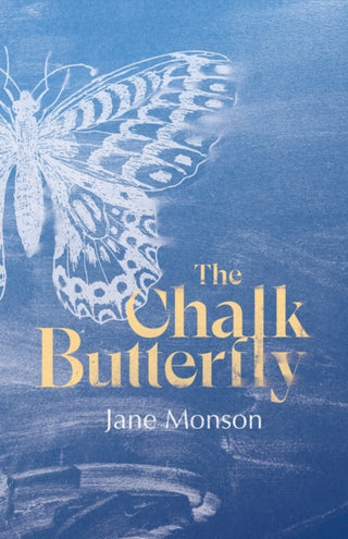 Cover image for 9781788641296 - The Chalk Butterfly