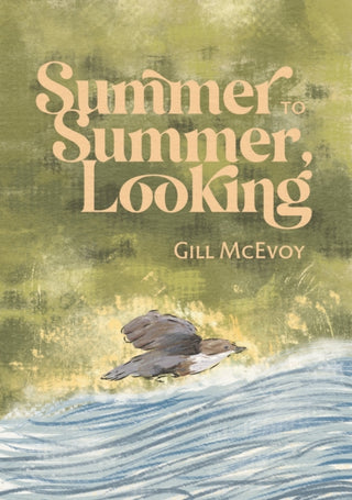 Cover image for 9781788641814 - Summer to Summer, Looking