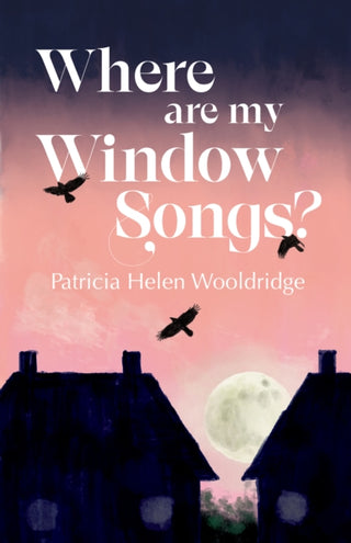 Cover image for 9781788641951 - Where are my window songs?