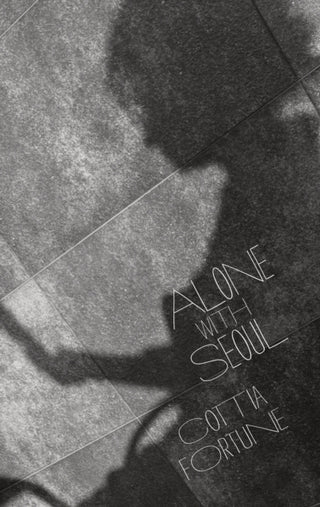 Cover image for 9781788641982 - Alone with Seoul
