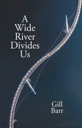 Cover image for 9781788648738 - A Wide River Divides Us