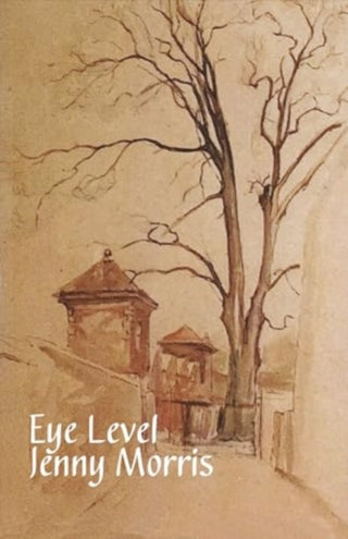 Cover image for 9781788648875 - Eye Level