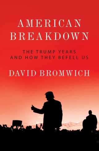 Cover image for 9781788737265 - American Breakdown