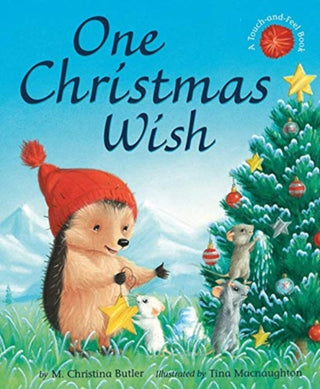 Cover image for 9781788816861 - One Christmas Wish