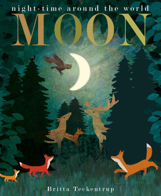 Supplemental image for 9781788817158 - Moon