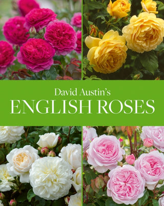 Supplemental image for 9781788840194 - David Austin's English Roses