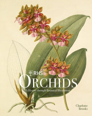 Cover image for 9781788841610 - RHS Orchids