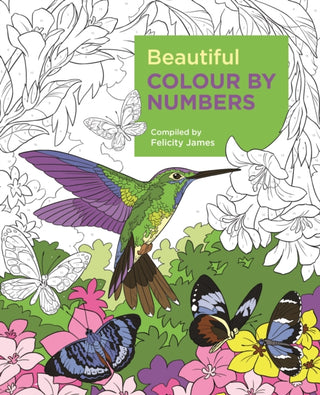 Cover image for 9781788887687 - Beautiful Colour by Numbers