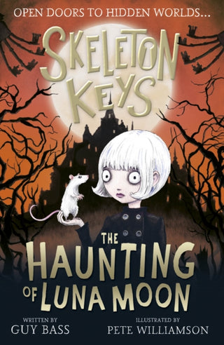 Cover image for 9781788951043 - Skeleton Keys: The Haunting of Luna Moon