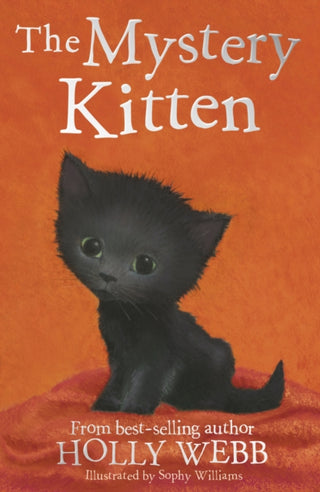Cover image for 9781788952194 - The Mystery Kitten