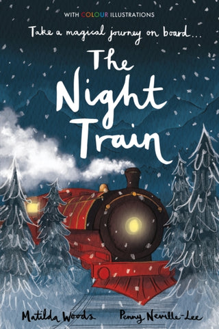 Cover image for 9781788952248 - The Night Train