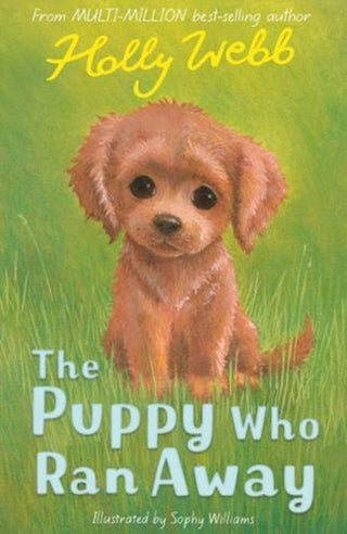 Cover image for 9781788953030 - The Puppy Who Ran Away