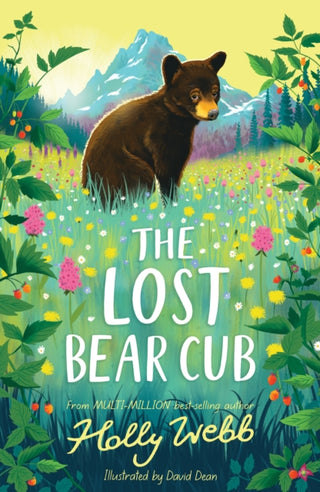 Cover image for 9781788956062 - The Lost Bear Cub