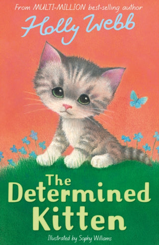 Cover image for 9781788956505 - The Determined Kitten