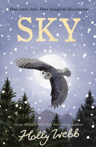 Cover image for 9781788956581 - Sky