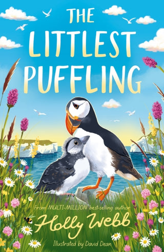 Cover image for 9781788958066 - The Littlest Puffling