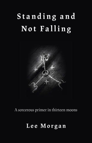 Cover image for 9781789040142 - Standing and Not Falling