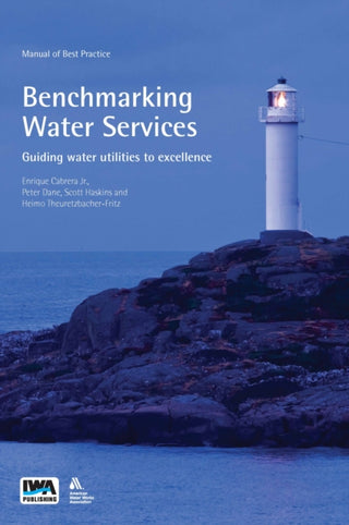 Cover image for 9781789065190 - Benchmarking Water Services