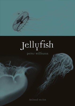 Cover image for 9781789142150 - Jellyfish