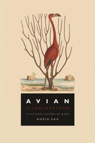 Cover image for 9781789144321 - Avian Illuminations