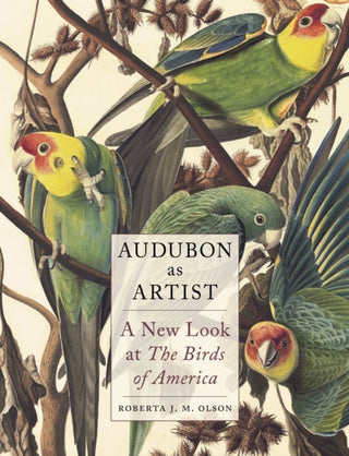 Cover image for 9781789148381 - Audubon as Artist – A New Look at The Birds of America