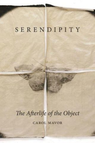 Supplemental image for 9781789149500 - Serendipity