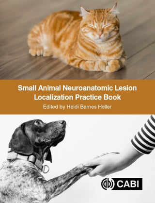 Supplemental image for 9781789247923 - Small Animal Neuroanatomic Lesion Localization Practice Book
