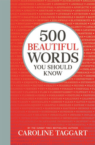 Cover image for 9781789292275 - 500 Beautiful Words You Should Know