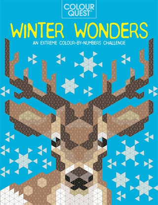 Cover image for 9781789293029 - Colour Quest®: Winter Wonders