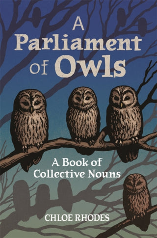 Cover image for 9781789295955 - A Parliament of Owls