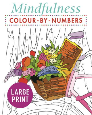 Supplemental image for 9781789500486 - Mindfulness Colour-by-Numbers Large Print