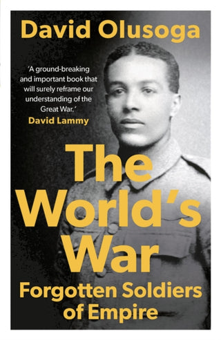 Cover image for 9781789544497 - The World's War