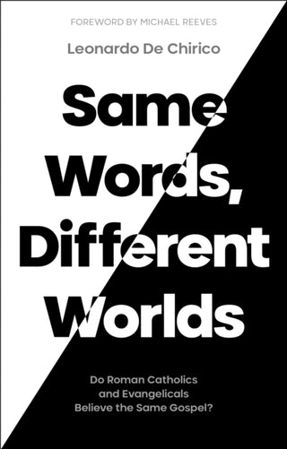 Cover image for 9781789743609 - Same Words, Different Worlds