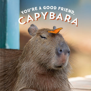 Cover image for 9781797210575 - You're a Good Friend, Capybara