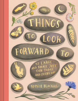 Cover image for 9781797214481 - Things to Look Forward To