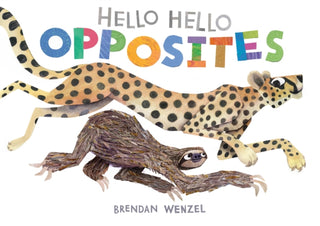 Cover image for 9781797219981 - Hello Hello Opposites