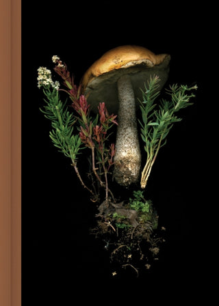 Cover image for 9781797227863 - Deep Dark Forest Mushroom Journal