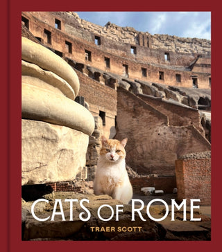Cover image for 9781797231273 - Cats of Rome