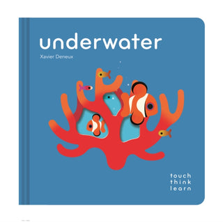 Cover image for 9781797232478 - TouchThinkLearn: Underwater