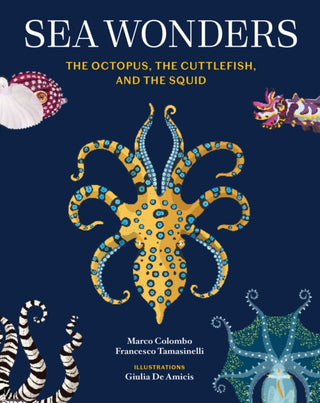 Cover image for 9781797233147 - Sea Wonders
