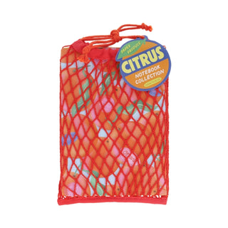 Cover image for 9781797240565 - Paper Produce Citrus Notebook Collection