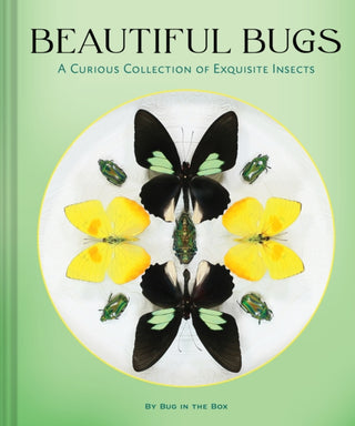 Cover image for 9781797243047 - Beautiful Bugs