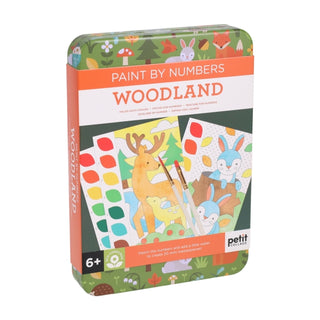 Cover image for 9781797244105 - Paint by Numbers: Woodland