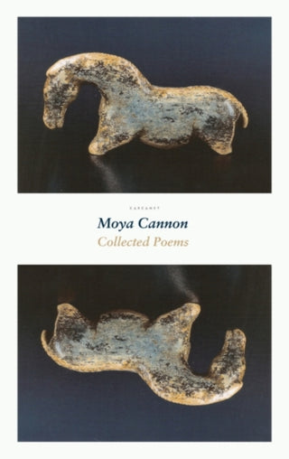 Cover image for 9781800170322 - Collected Poems