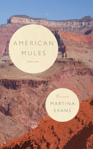 Cover image for 9781800170896 - American Mules