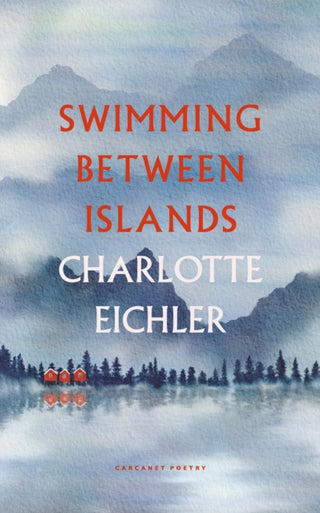 Supplemental image for 9781800171374 - Swimming Between Islands