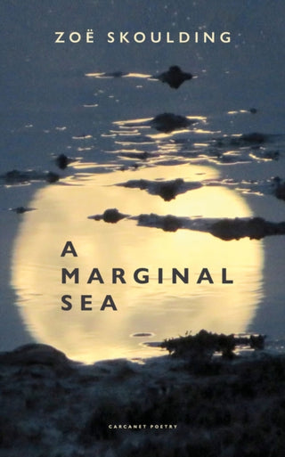 Supplemental image for 9781800172517 - A Marginal Sea