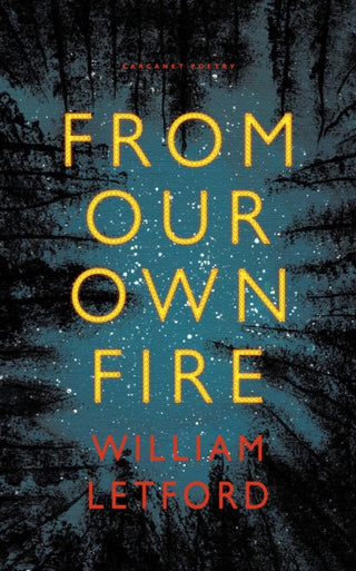 Supplemental image for 9781800173439 - From Our Own Fire