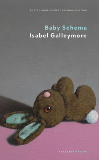 Cover image for 9781800173880 - Baby Schema