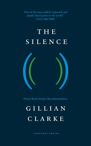 Cover image for 9781800173927 - The Silence